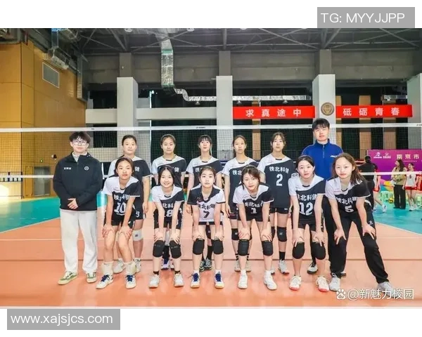 南京排球队创历史新高排球状态排名再创新高峰